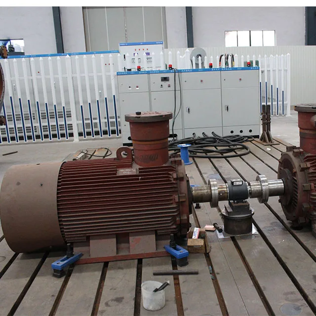 Электродвигатель беличьей клетки Электрический асинхронный генератор с двойной подачей