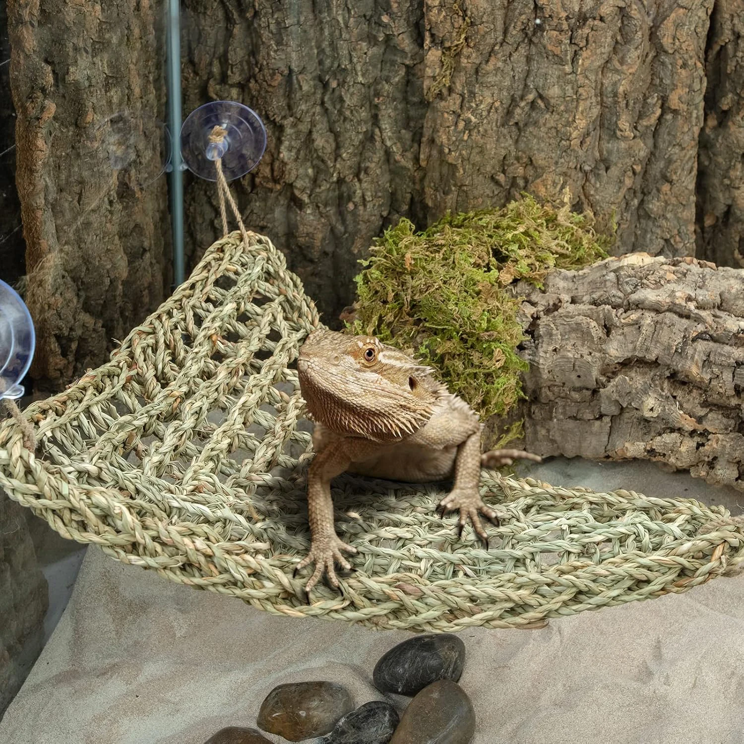 Bearded Dragon Hammock Reptile Lounger for Chameleon Lizards Gecko Snakes Lguana Reptiles Geckos Hammocks