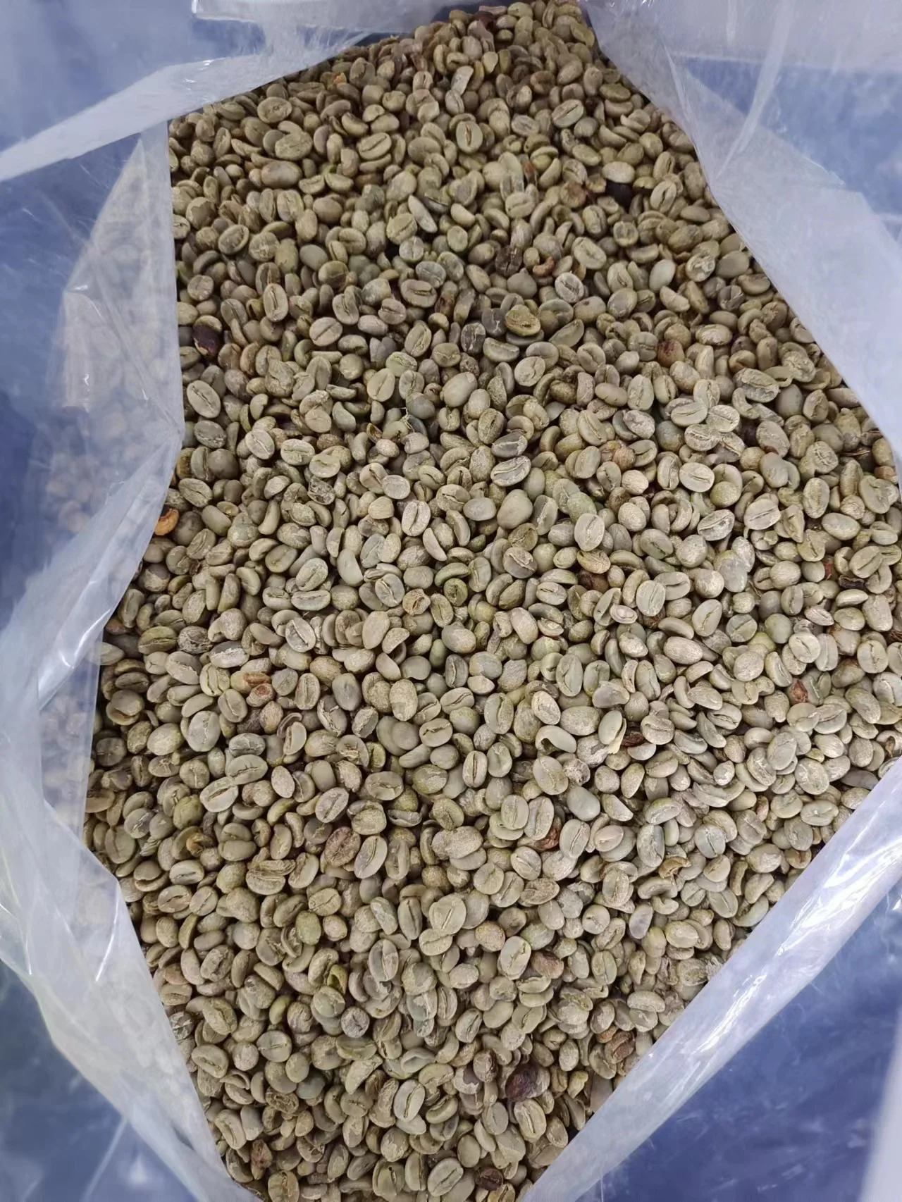 Заводская поставка Yunnan Green Arabica Coffee yunnan мелкозернистый кофе Rubiaceae Арабика в зернах