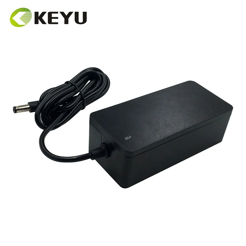 24 volt 2 amp smps adaptor AC to DC power supply adapter 24V 2A 48W for massage chair