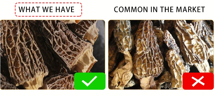High quality Natural Grow Wild Morel Mushroom Dry Wholesale Price Morel Mushroom