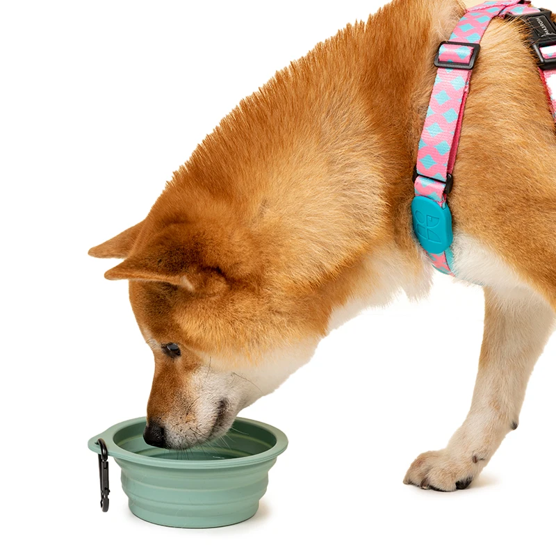 Portable Travel Pet Food and Water Bowl Collapsible Silicone Dog Bowl Stocked Feature Foldable Design travel dog bowl