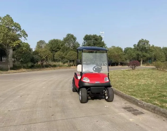 weliftrich 4 wheels 2 seats seated electric Golf Push Pull Cart Golf Trolley germany golf trolley for outdoor