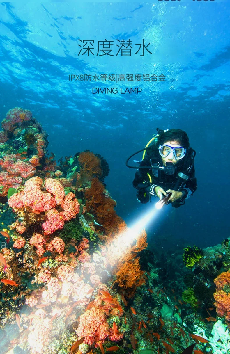 2000 High Lumens Scuba Diving Torch waterproof led lighting Diving IPX8 Flashlight portability torchlight