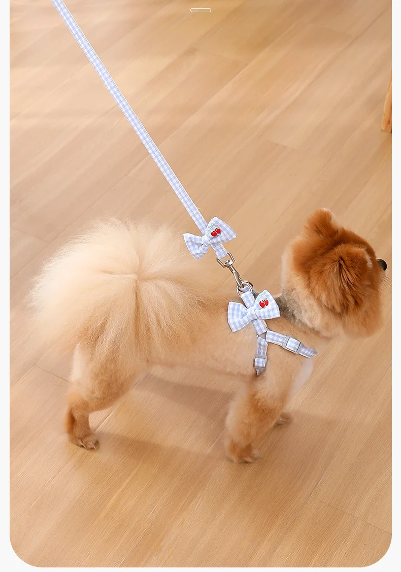 New spot Pipi Tao clear fresh wind fruit embroidery lead rope small and medium-sized dog teddy leash dog leash