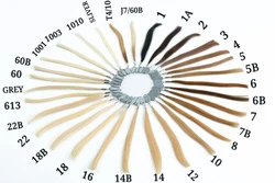 Elite 100 Percent Grade 9 South East Asia Indian Cuticle Aligned Double Weft Hair Extensions