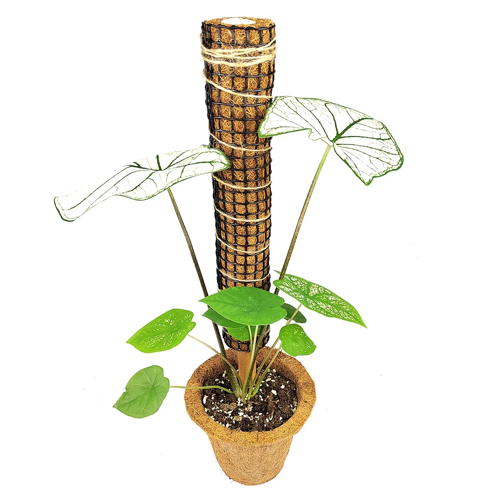 Black plastic mesh covered plant moss rod coconut shell totem pole for climbing plant vine growth climbing plant support