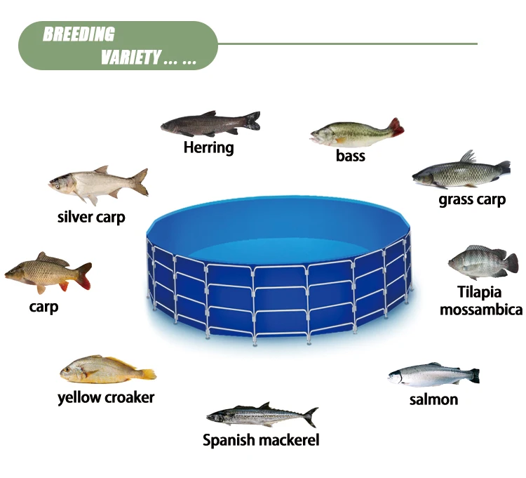 Indoor High-density Koi pond Drum Filter water filter waste water filter aquaculture system