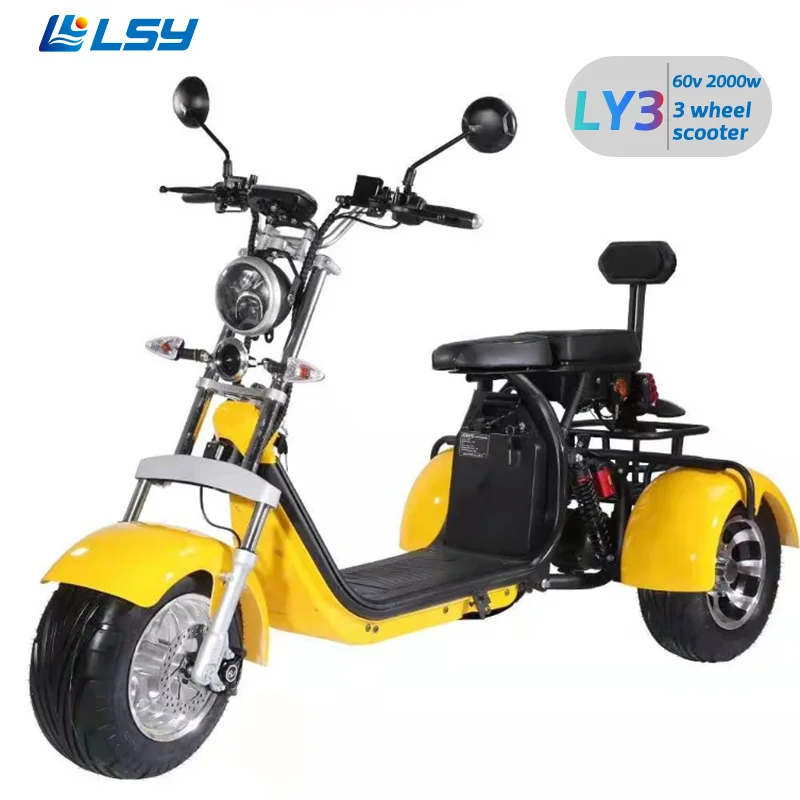 
Factory 60V 20A 2000w outlet scooter with big seat Adult 3 wheel bicycle lithium Battery tricycle electric scooters 