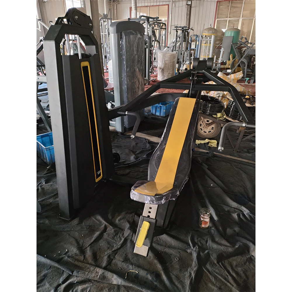 Pin Loaded Back Extension Shoulder Lifter Iso-Lateral Rear Deltoid Trainer Dual Reverse Fly/Rear Delt Training Equipment