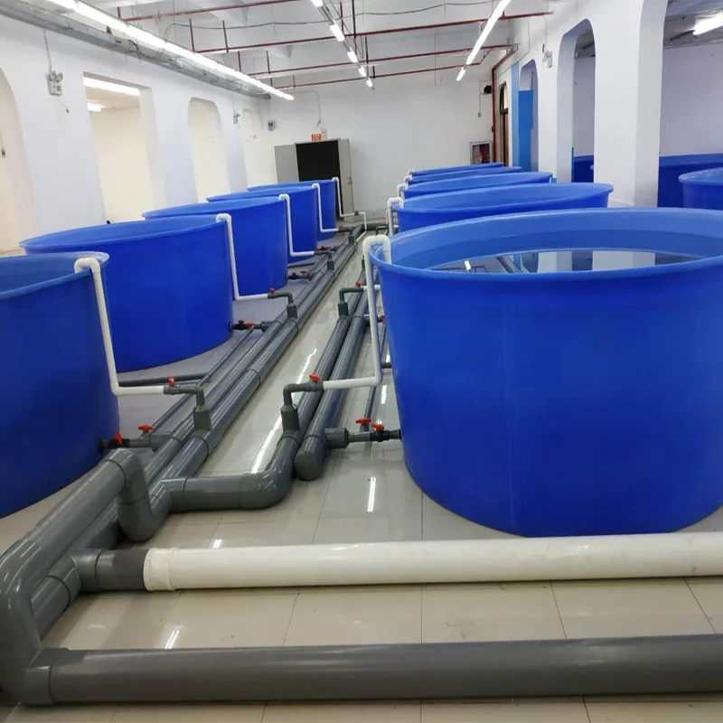 Competitive price professional custom mini recurlating saltwater aquaculture ras system for fish farm