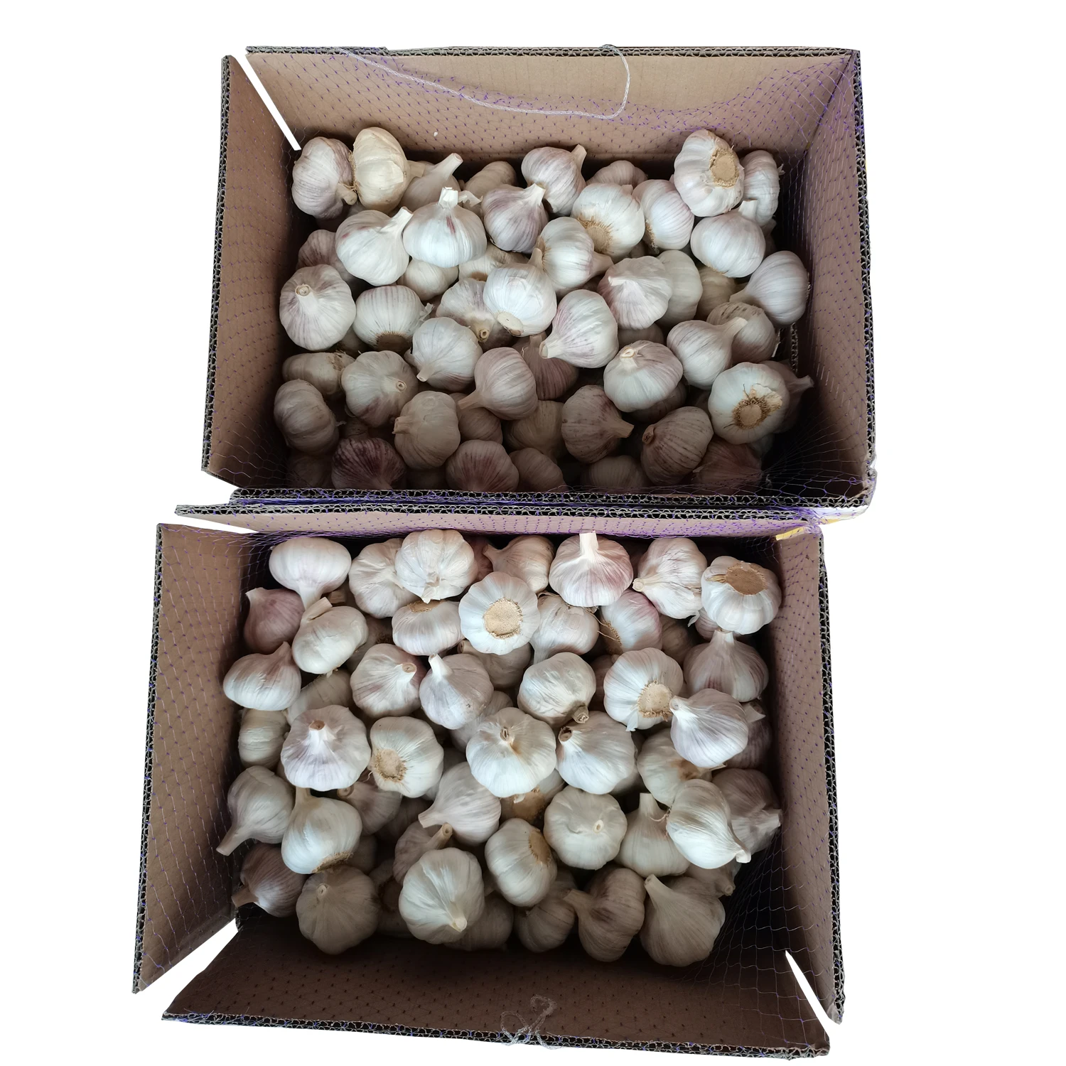 JinXiang китайский Обычный белый свежий чеснок в сетчатой упаковке 10 кг