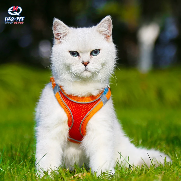 Pet Harness Adjustable Breathable Reflective Pet Harness Leash Set with Reflective Tape Cat Dog Harness