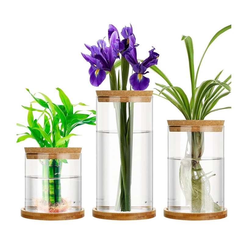 Ручной работы прозрачный скандинавский стеклянный гидропонный ваза цветочный горшок для домашнего декора