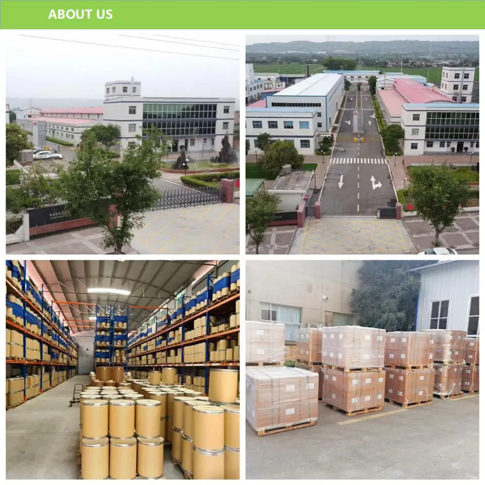 
Factory Direct Water Soluble Chitosan Powder / 9012-76-4 