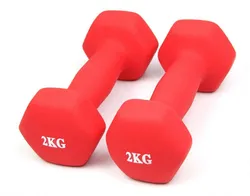 Buy Adjustable Dumbbells Rack and Stand