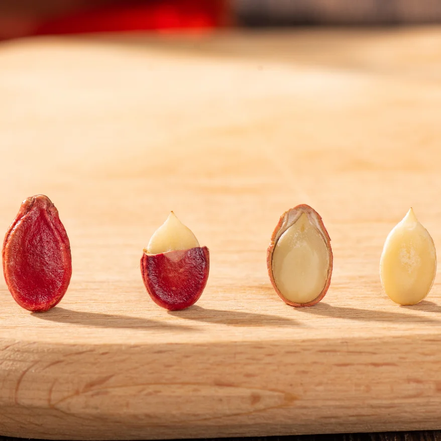 Red Watermelon Seeds Wholesale Chinese Natural Big Size Quality Red Watermelon Seeds