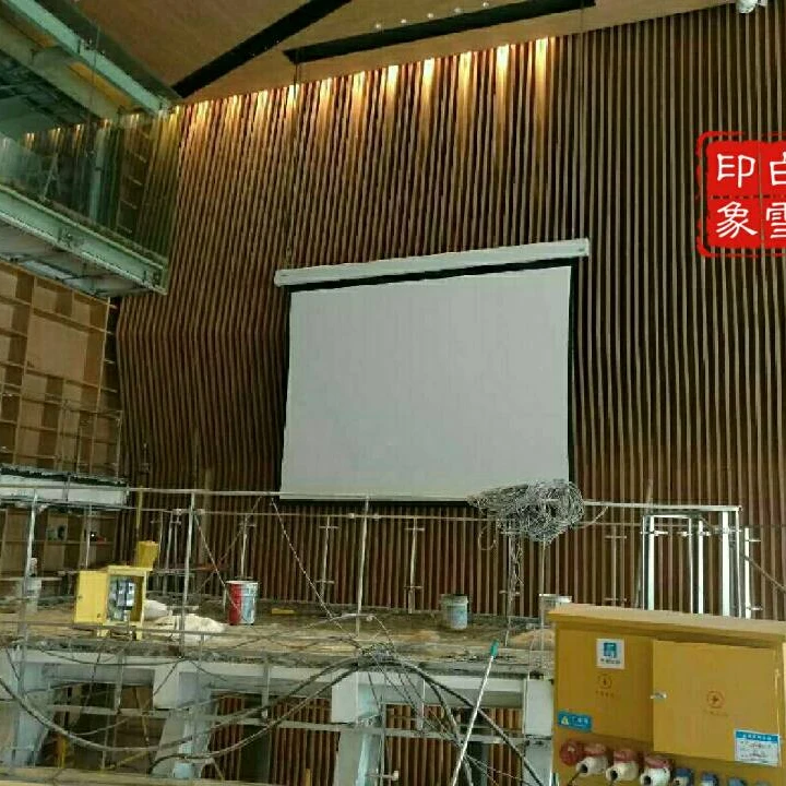 
Savicto High Quality 16:10,200inch Twice Lifting Electric Projection Screen for Extremely High Installations 