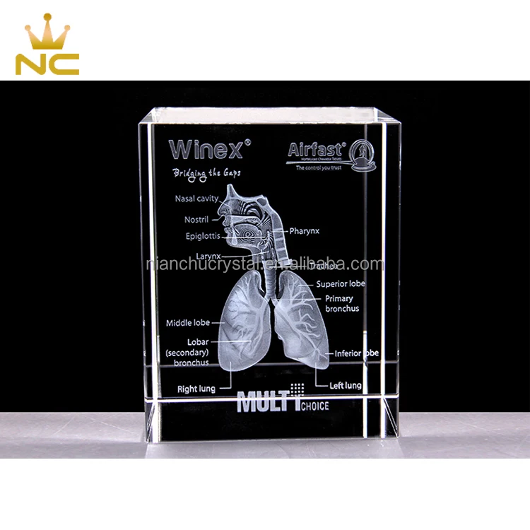 
China Supplier Crystal Laser Etched Respiratory System Rectangular 3d laser engraving glass block 