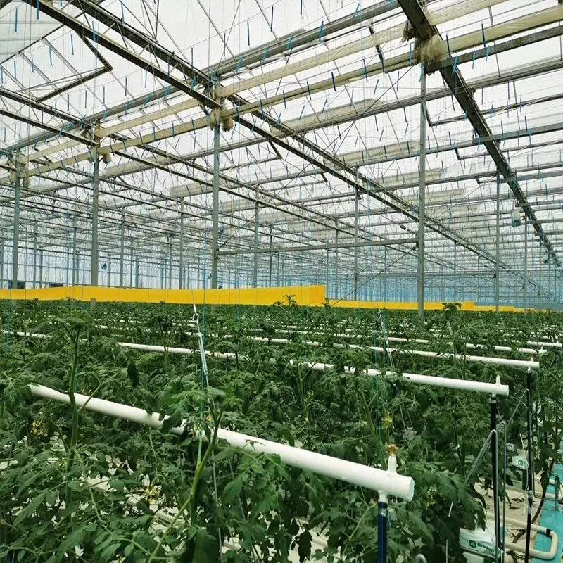 Прямая Продажа с китайского завода стеклянный домик садовый зимний дом