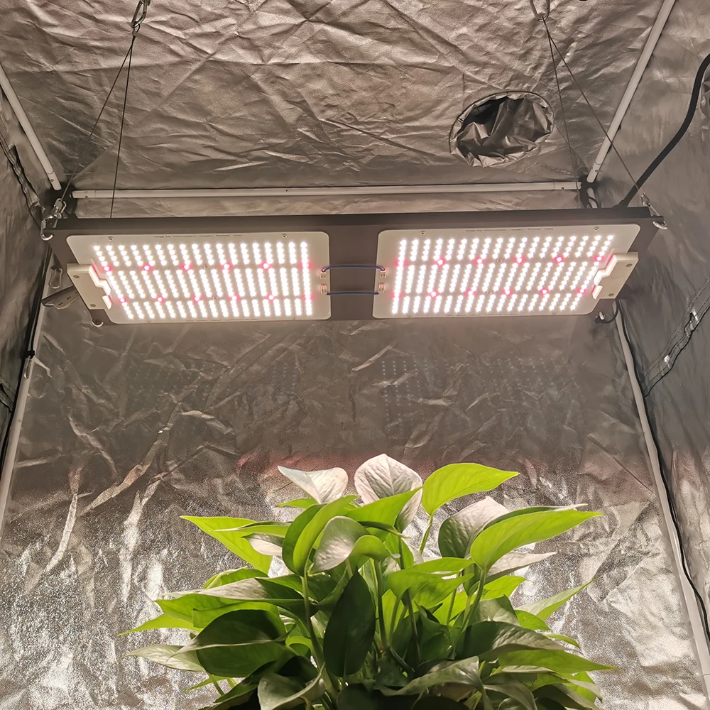 240W Lm301H Led Meanwell Driver Full Spectrum Grow Light For Hydroponic
