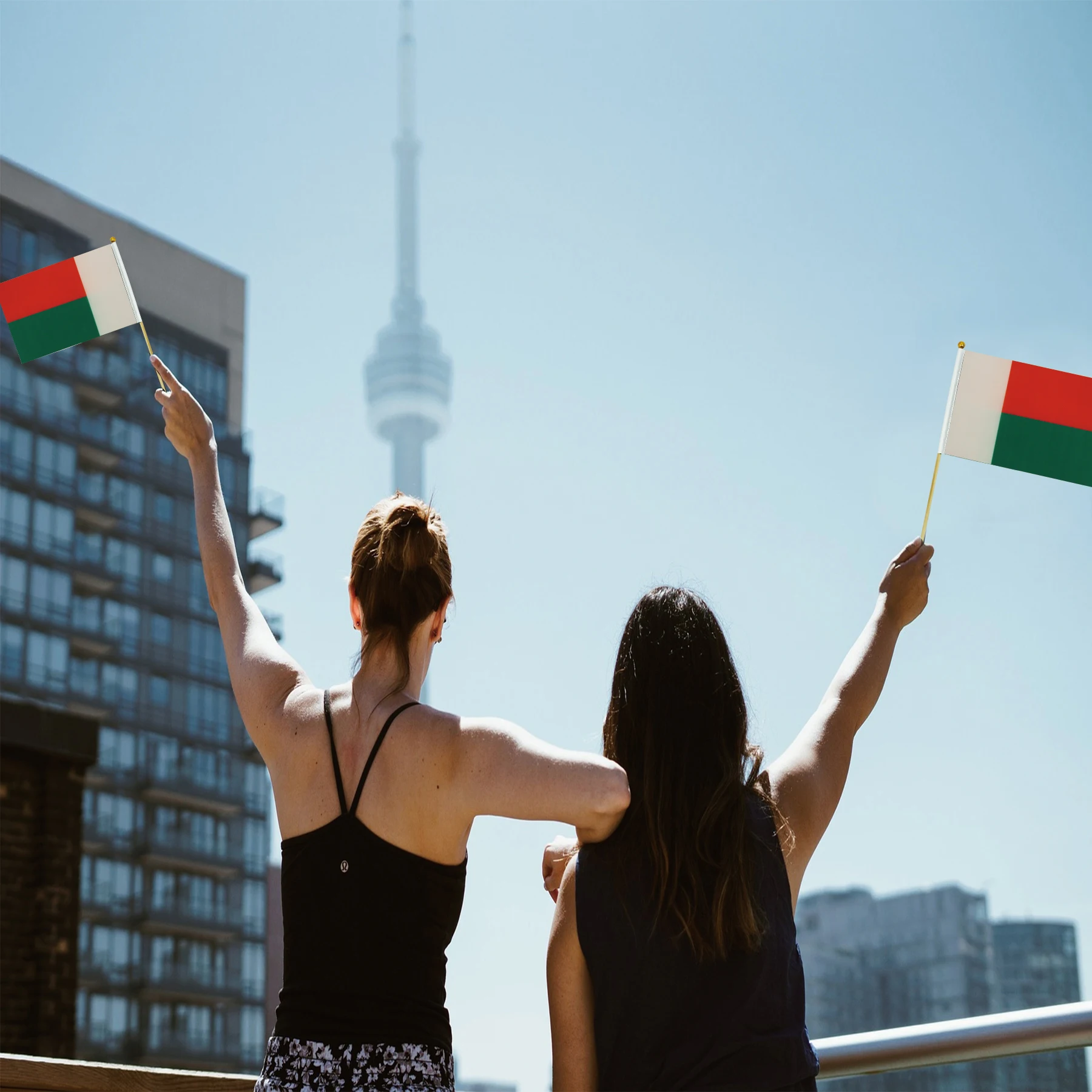 Wholesale High Quality Mini Hand Held Flag Madagascar Hand Waving Flag With Wooden Pole