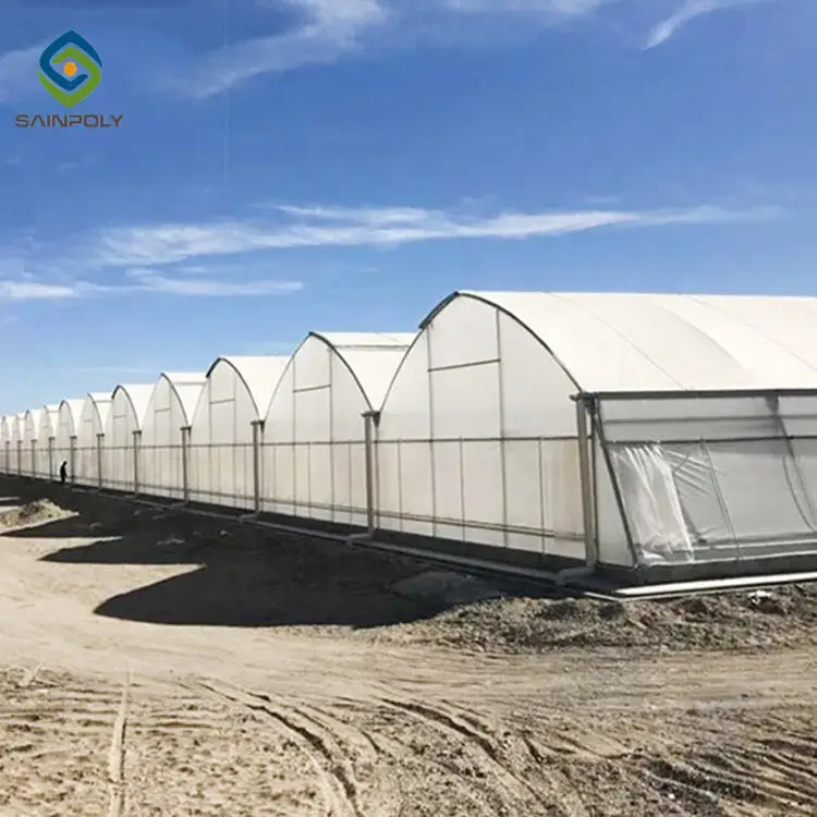 Professional Large Multi functional Agriculture Multi-Span Tomato Hydroponics Tunnel Film Greenhouse