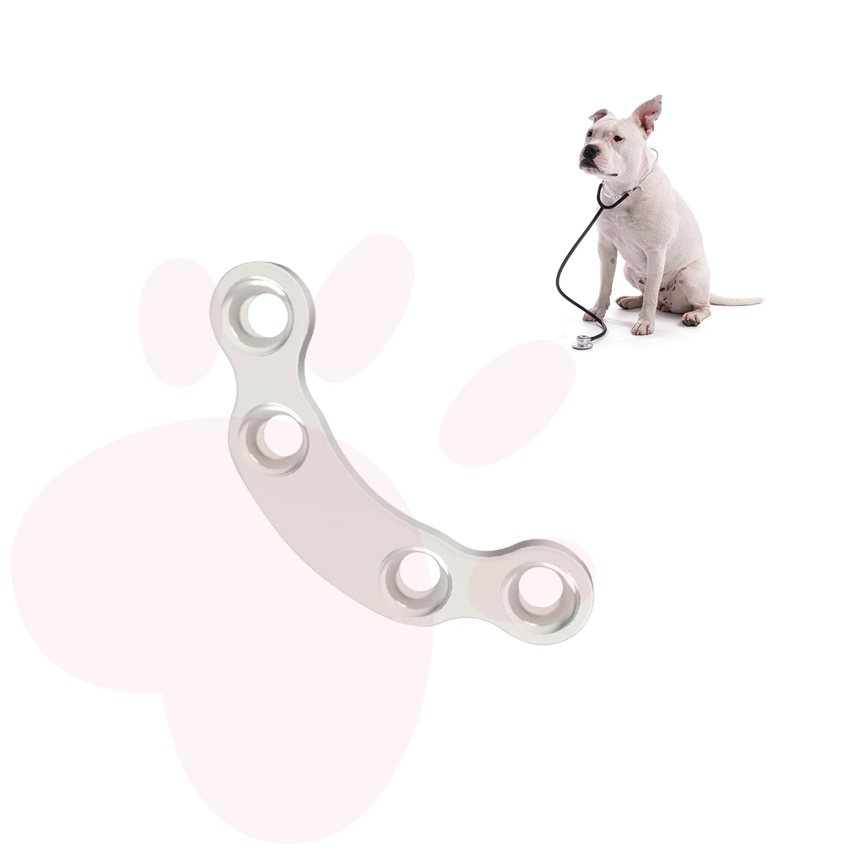 Factory Production of Veterinary Stainless Steel Acetabular Veterinary Locking Plates and Screws for Pet Bone Injuries