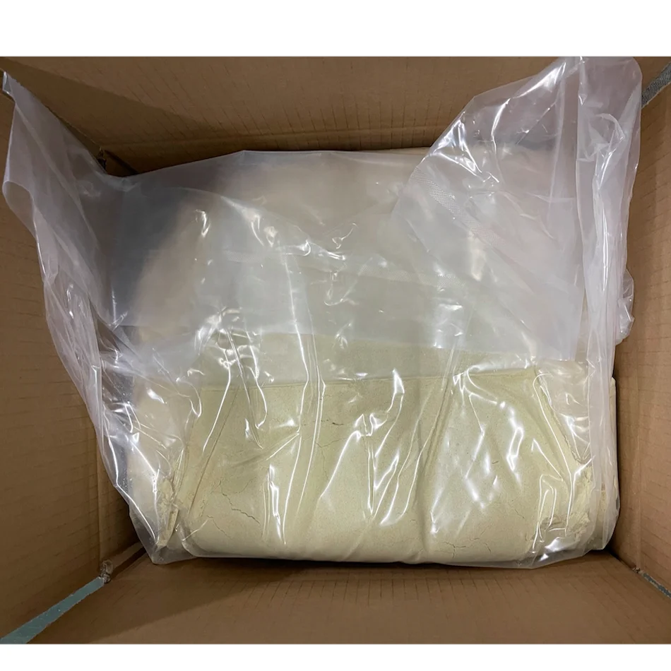 20kg Halal Dried Philippines Flavor Chicken Powder Seasonings