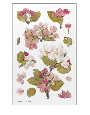 Korean stationery creative simulation flower transparent PVC sticker flower plant diary hand account decorative sticker