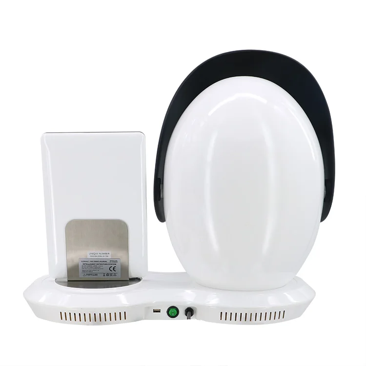 Portable Magic Mirror Skin Test 12 Million Dual-photo HD Pixel Full Facial Scanner 3D Digital Skin Analyzer Machine