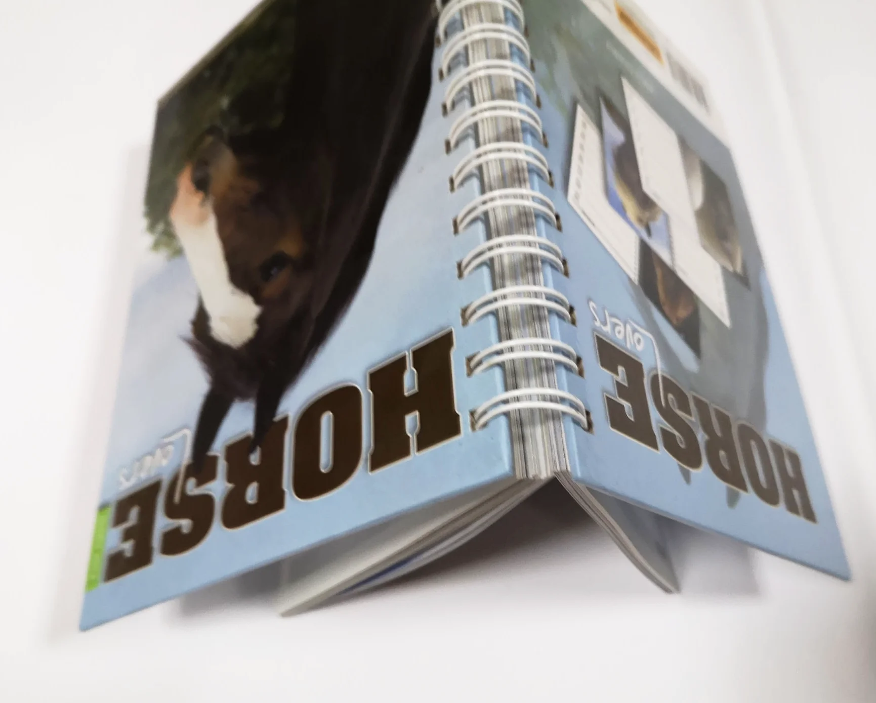 coloring book printing perforation spiral and  custom and children book printing