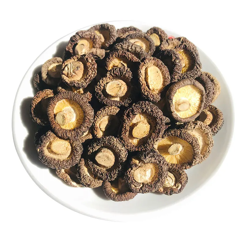 High Quality Edible Fungi Bulk Dry Shiitake Mushroom Magic Mushrooms For Sale