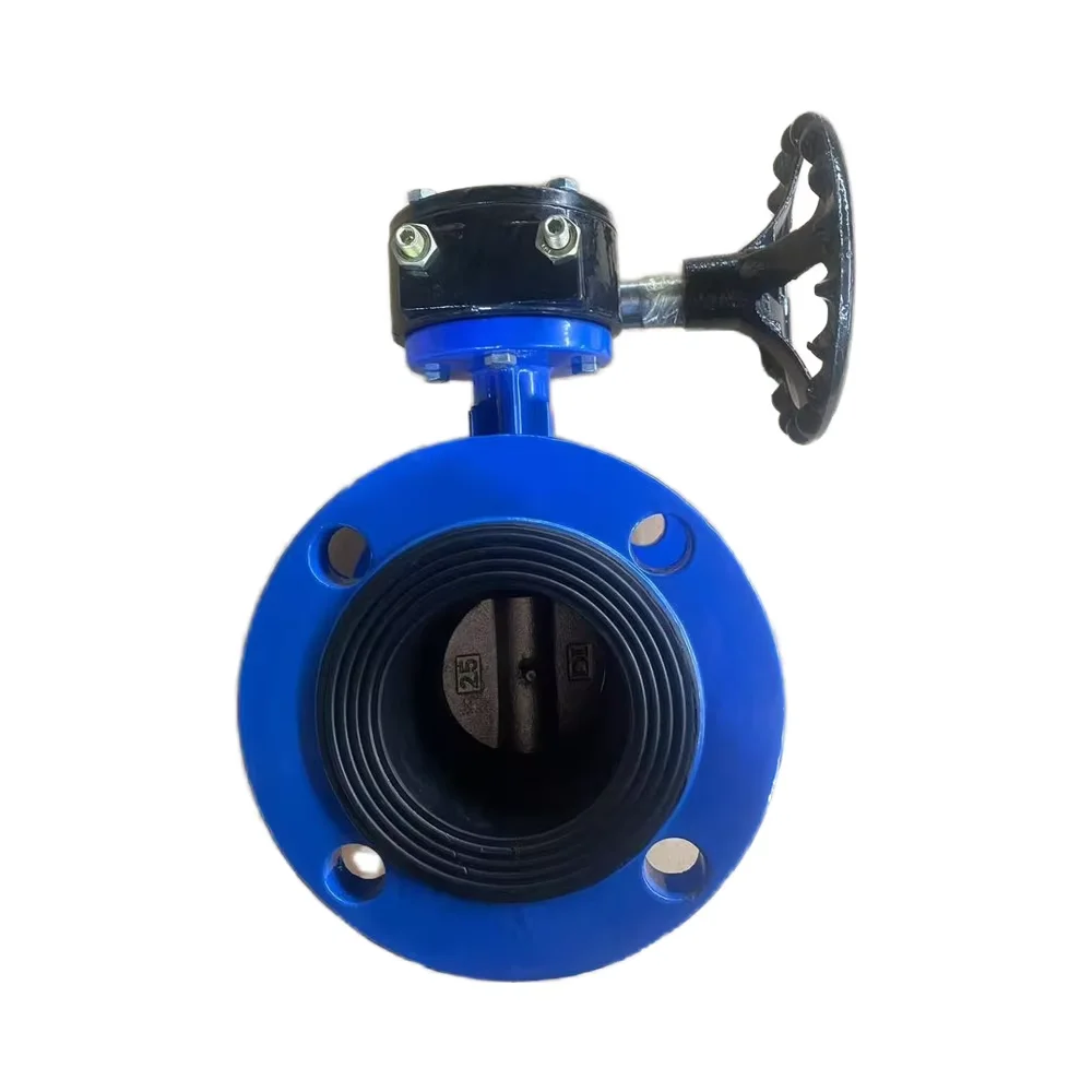 China Supplier Manual Double Flange Butterfly Valve Ductile Iron Body Carbon Steel Shaft PN16 DN65EPDM Seat