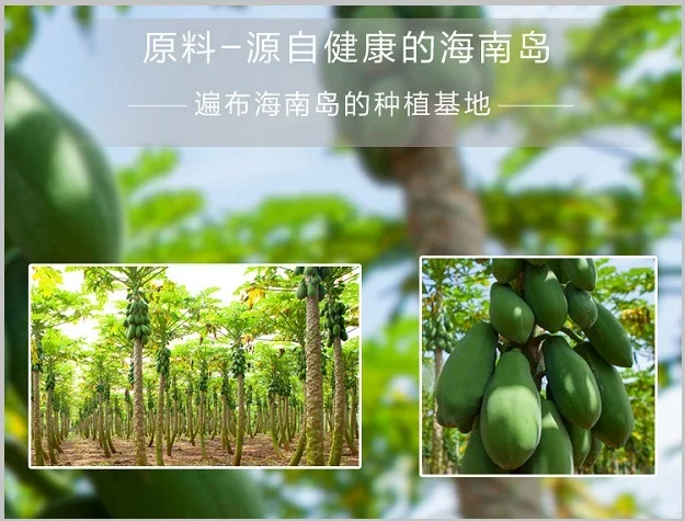 Natural spray dried fresh papaya juice powder for cake bread baking products instant iced drink milkshake yogurt
