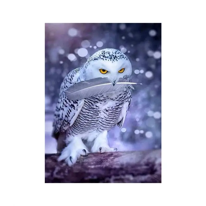 Bestselling 5D Diy Diamond Paintings By Digit Symbol Dot Drill Owl Motif Wall Art Deco Crafts