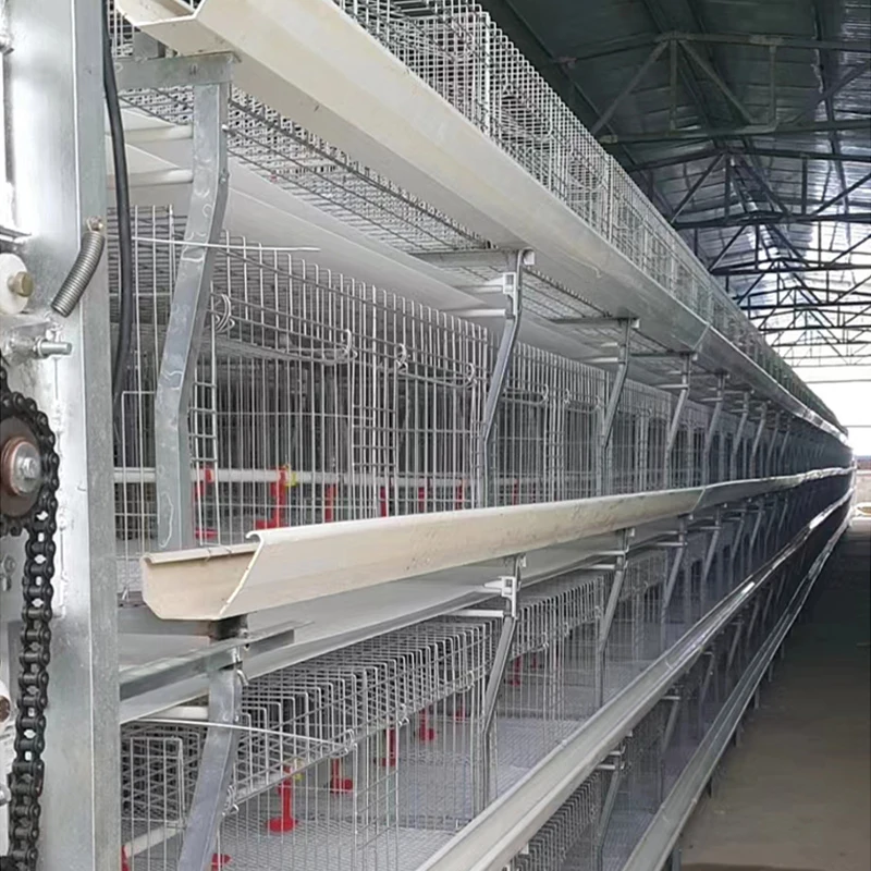 Steel Chicken Farming Prefab House Complete Solutions Automatic Layer Broiler Poultry Cage System Multifunctional Egg Chicken