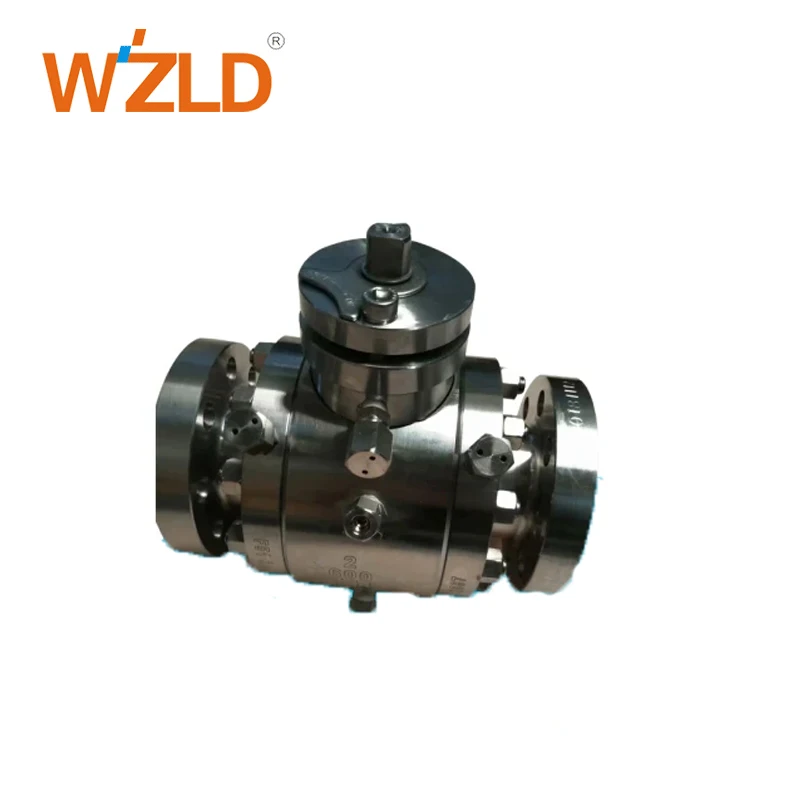 WZLD Manufacturer Cryogenic Super Duplex Stainless Steel Customized Trunnion mounted ball valve api6d