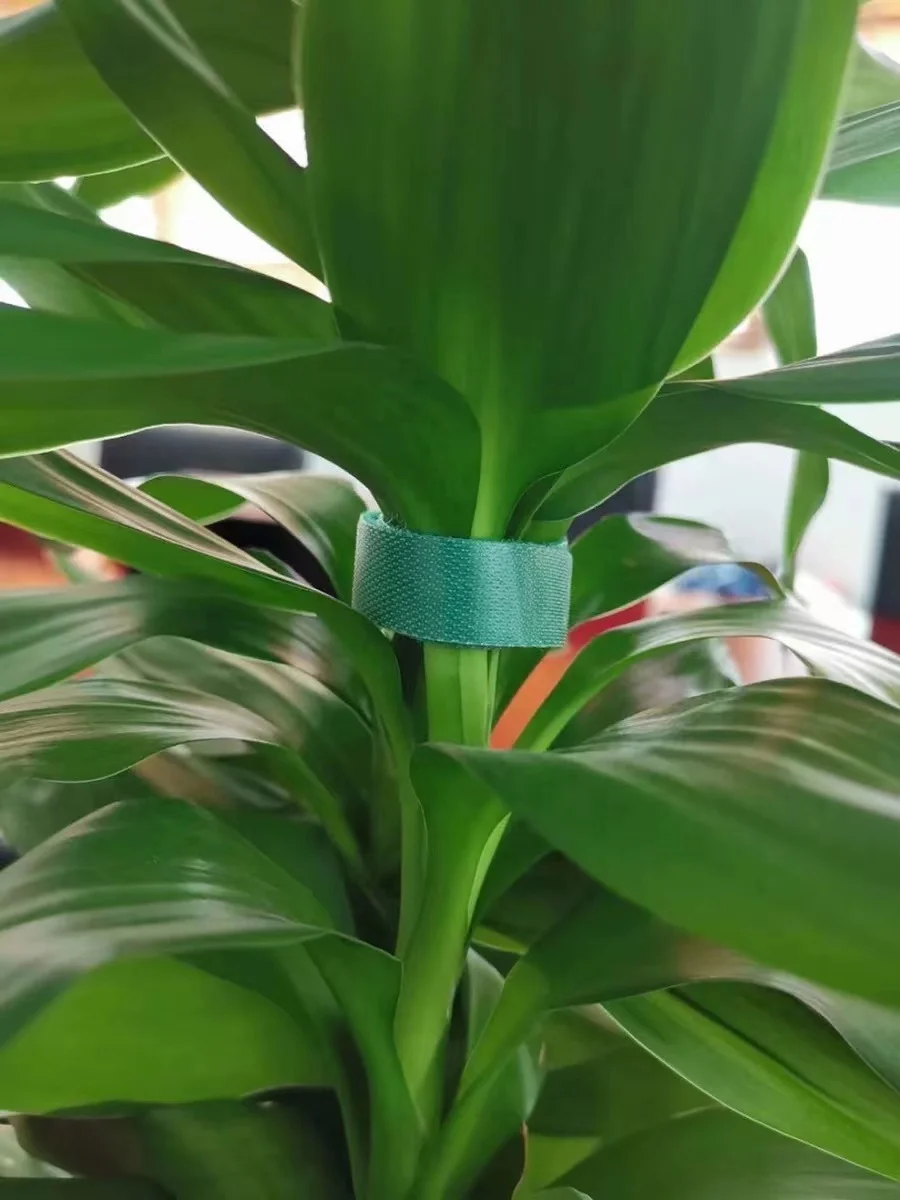 green hook loop tape for plants strips with adhesive cable ties hook loop straps