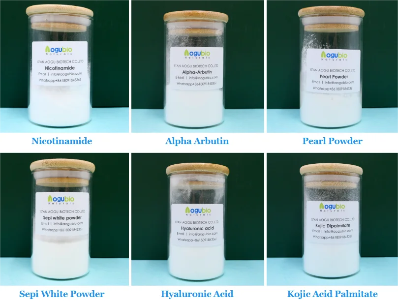 High Quality Narcissus Extract Powder Narcissus Extract Narcissus Tazetta Bulb Extract