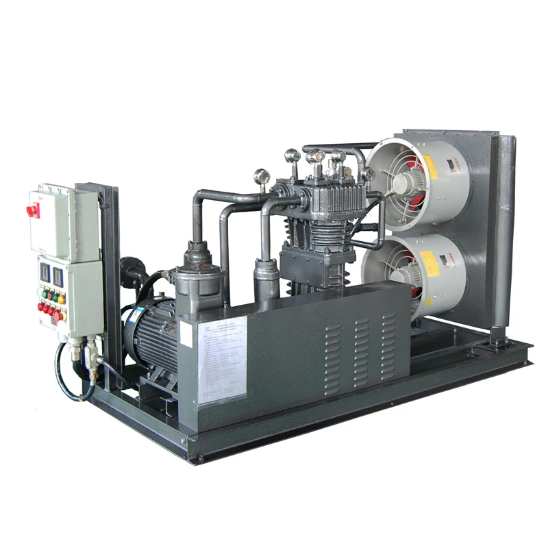 Manufacturer Custom Gas Compressor Biogas to Cng Convator Machine Biogas Digester Compression for Biogas Transmission