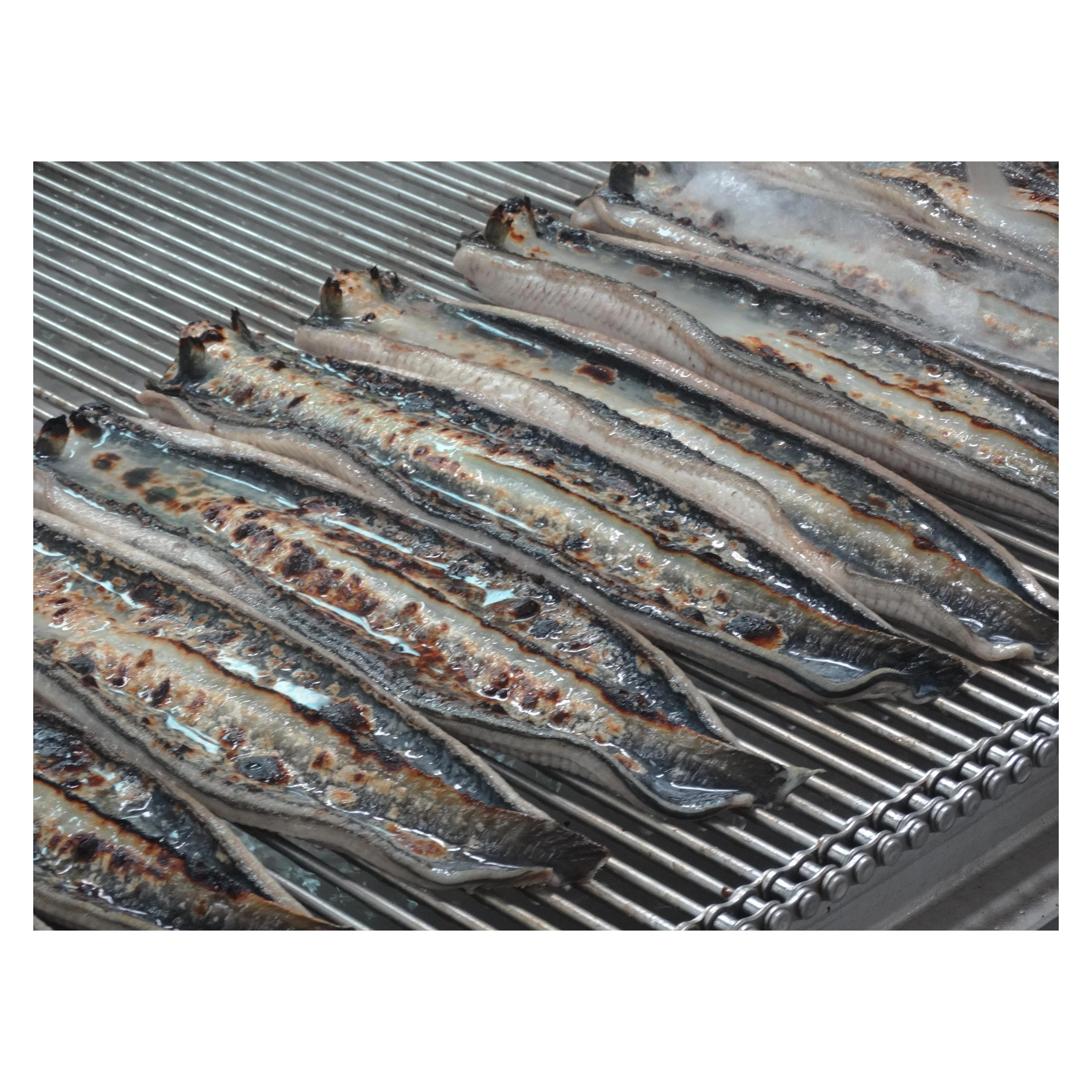 Cheap Price Eel Over Rice Savory Japanese Cuisine Cooked Eel Fish Roasted