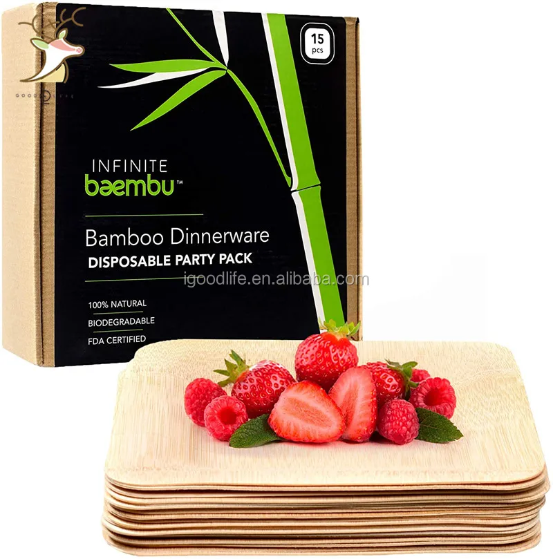 Biodegradable 10 Inch Square Areca Palm Leaf Plates Disposable Wooden Bamboo Dishes Popular for Parties and Weddings