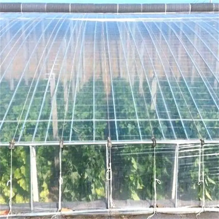Hot greenhouse plastic film 150/200 micron PO/PE greenhouse film for greenhouse