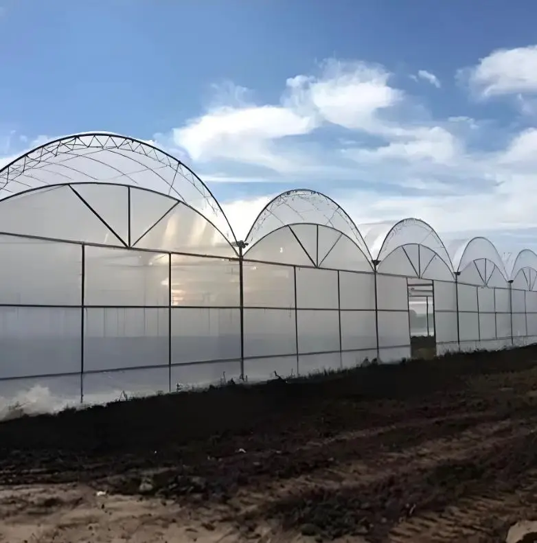 Customizable Multi-span Agricultural Garden Greenhouse Kit Large Square Steel Film Cover with Glass for Planting