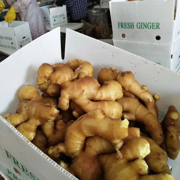 Good fat yellow Ginger fresh fat ginger new crop Chinese Fresh Ginger for sale from factory