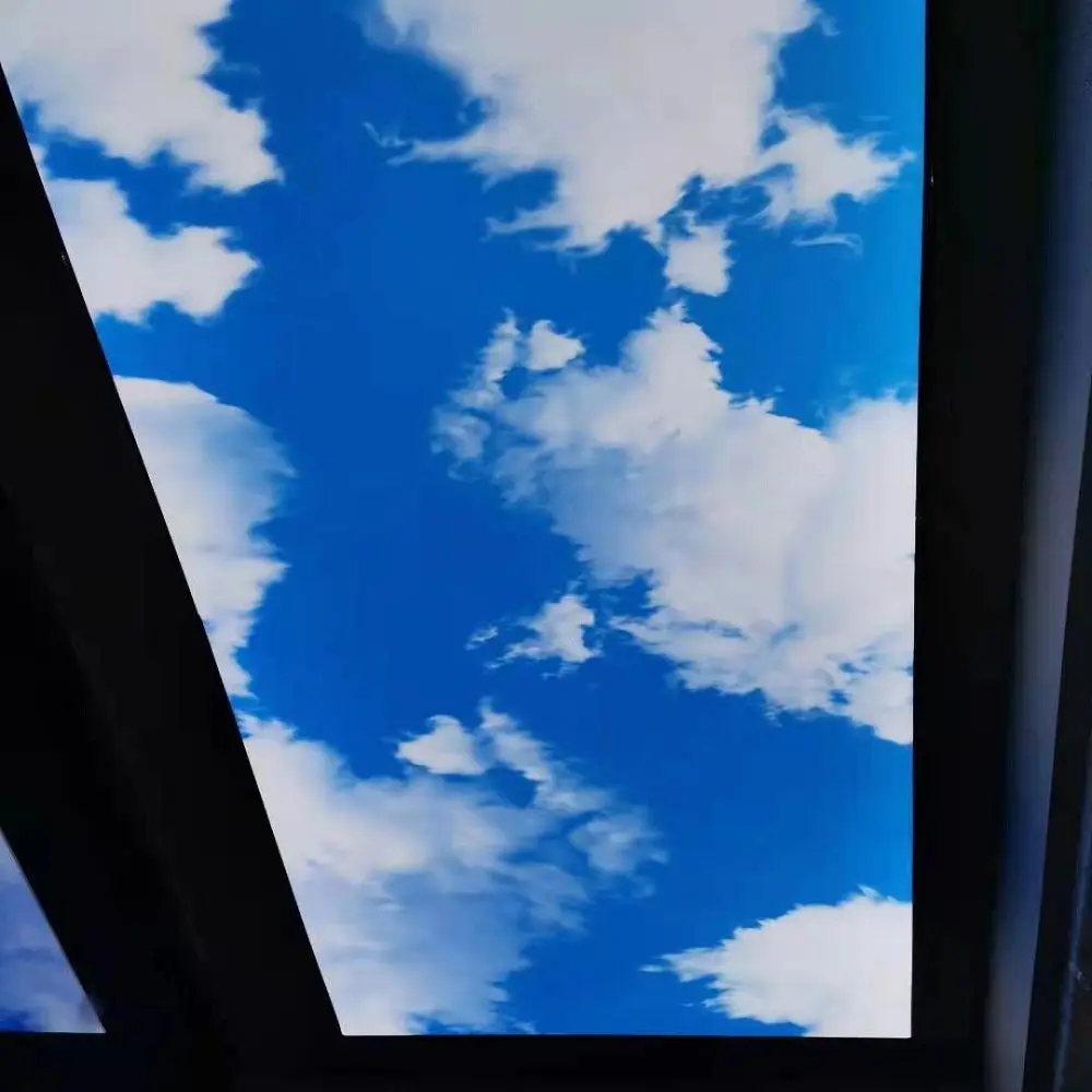 Hot sell new project cases Factory Fantastic Blue Sky Printing Ceiling Film Pigeon Playing in the Sky Stretch Ceiling Film