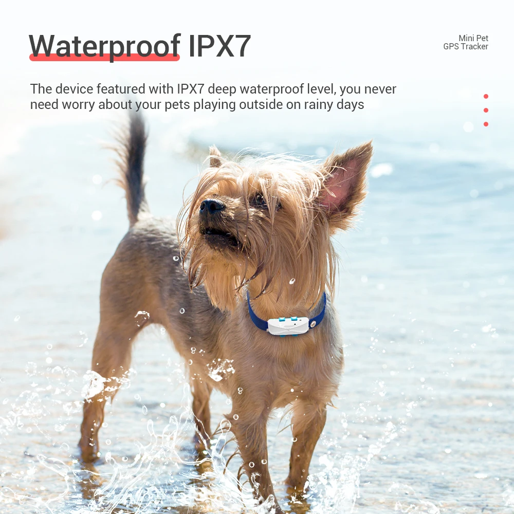 Gps Perros Micodus животные локатор ошейник собака кошка устройство слежения 4G LTE оптом трактивный трекер для домашних животных