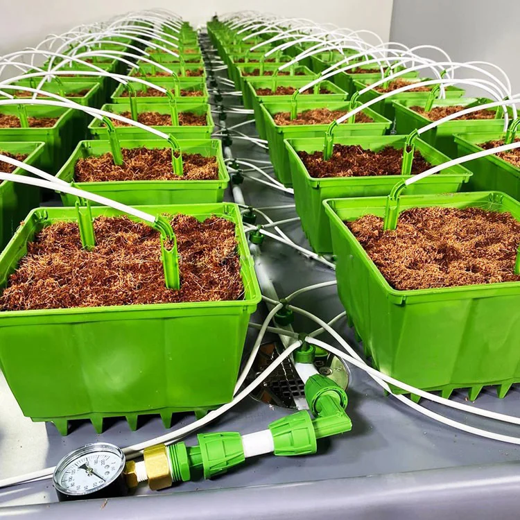 hydroponics drip 8 inch grow caps and clips for 8inch rock-wool cubes