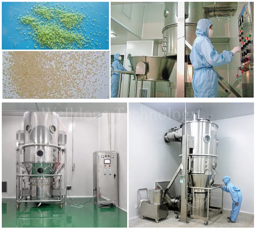 Fluid Fluidized Bed Drying and Granulator with Spray System for Solid Beverage Drinking Powder